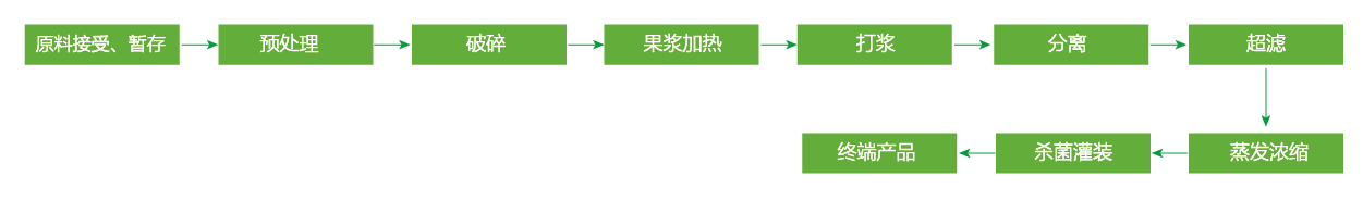 藍(lán)莓、草莓、桑葚濃縮汁
